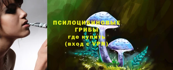 гидра Балабаново