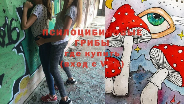 тгк Баксан